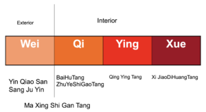 Huang Qi Gui Zhi Wu Wu Tang